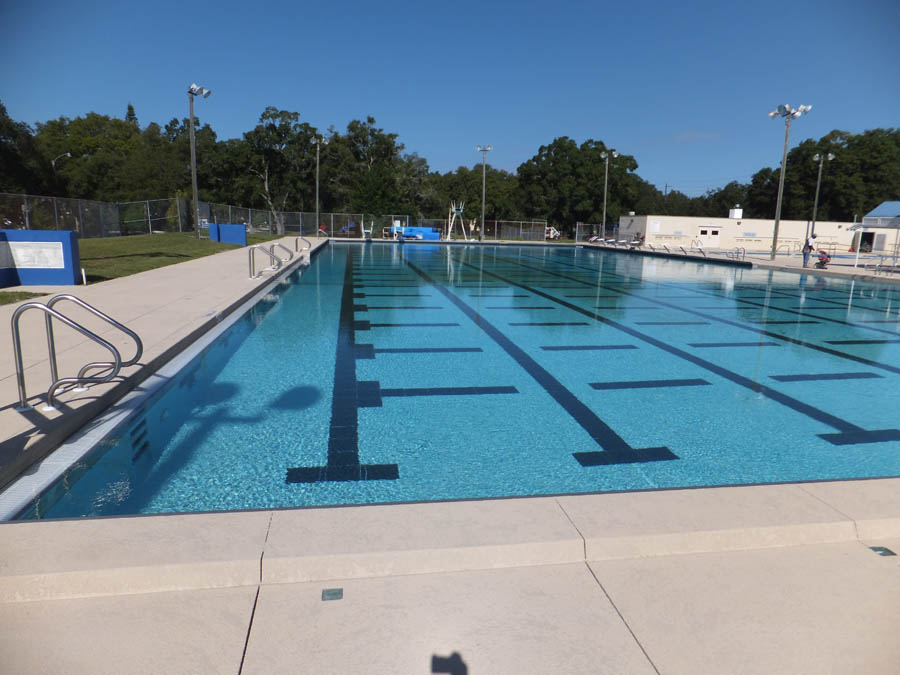 Arlington Park Sarasota, FL swimming pool